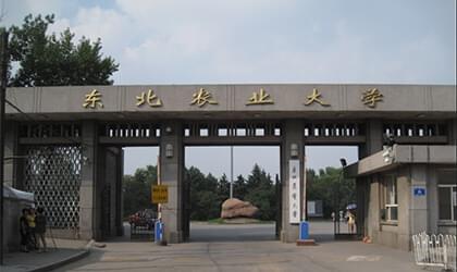 东北农业大学