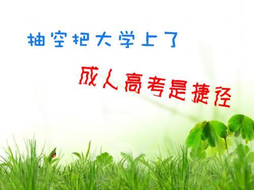 成人高考报名