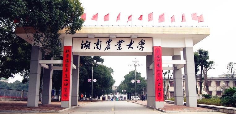湖南农业大学继承教育学院